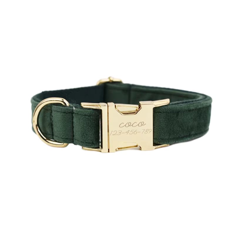 Forest Teal Velvet Dog Harness Set – Personalized No-Pull Harness, Leash & Collar