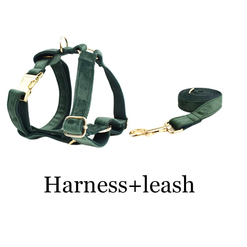 Forest Teal Velvet Dog Harness Set – Personalized No-Pull Harness, Leash & Collar