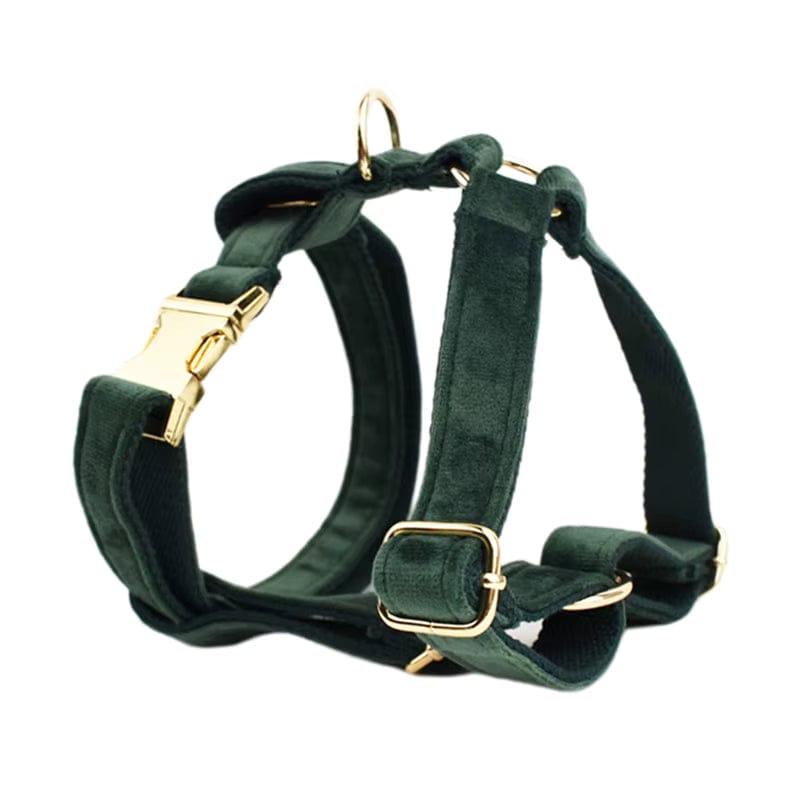 Forest Teal Velvet Dog Harness Set – Personalized No-Pull Harness, Leash & Collar