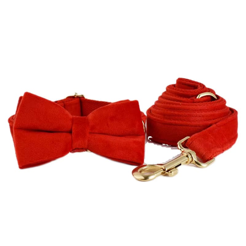 Red Velvet Dog Harness Set – Personalized No-Pull Harness, Leash & Collar