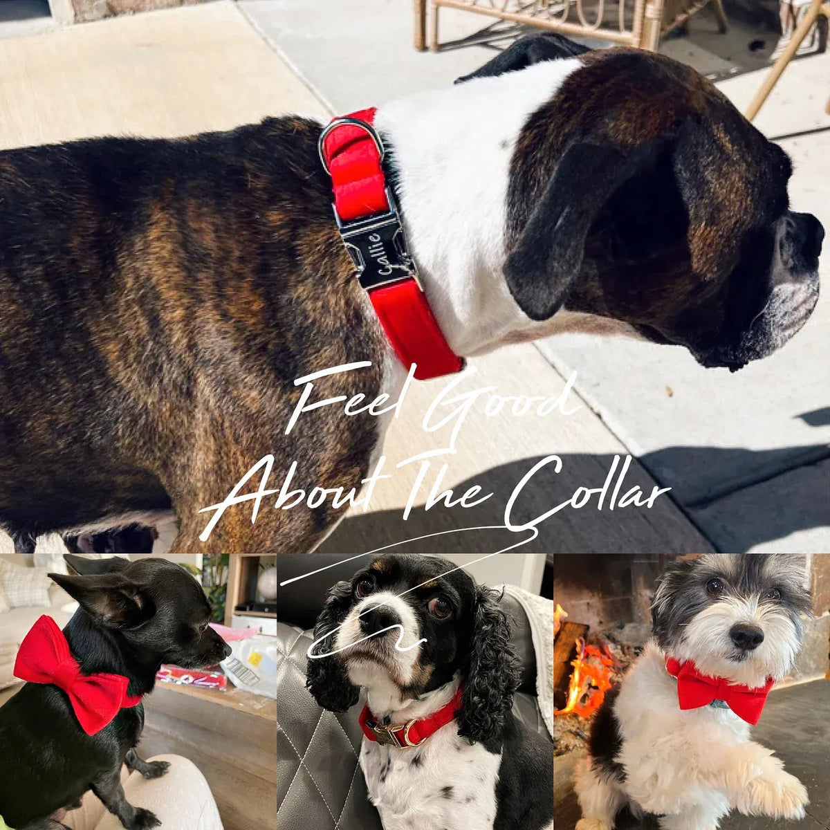 Red Velvet Dog Harness Set – Personalized No-Pull Harness, Leash & Collar