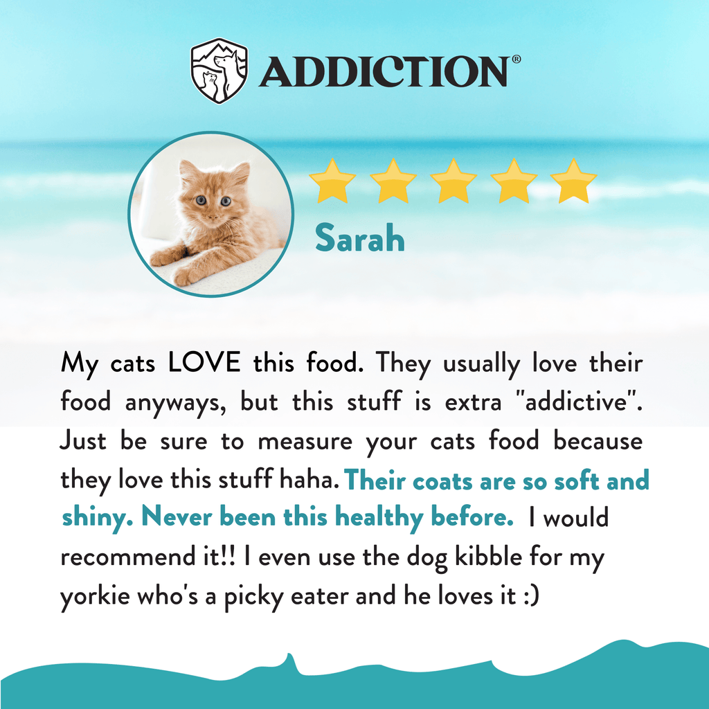 Salmon Bleu Dry Cat Food