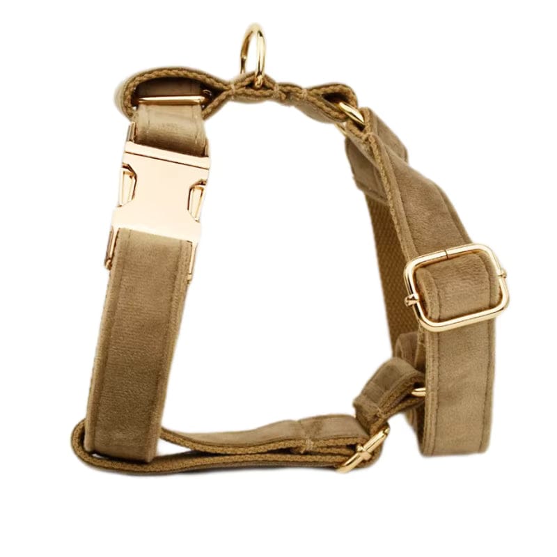 Khaki Velvet Dog Harness Set – Personalized No-Pull Harness, Leash & Collar