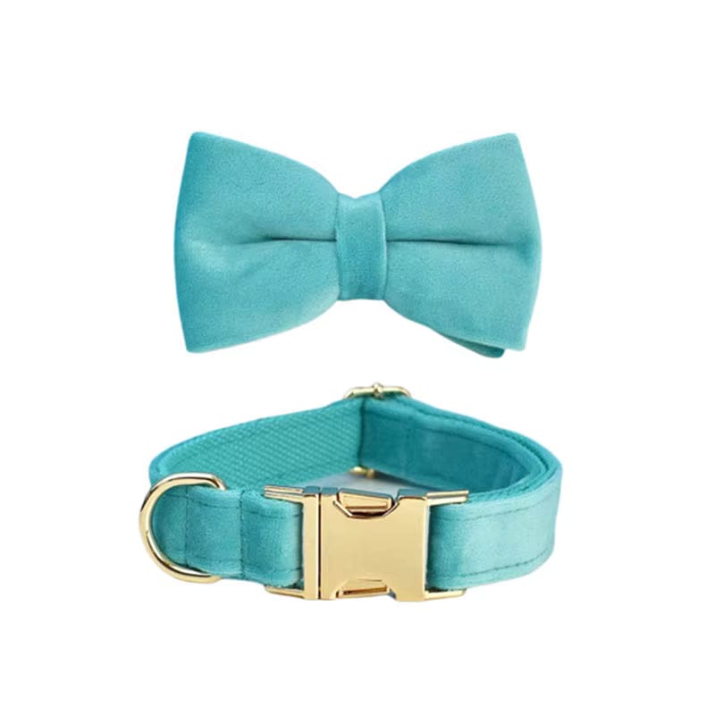 Turquoise Stone Velvet Dog Harness Set – Personalized No-Pull Harness, Leash & Collar