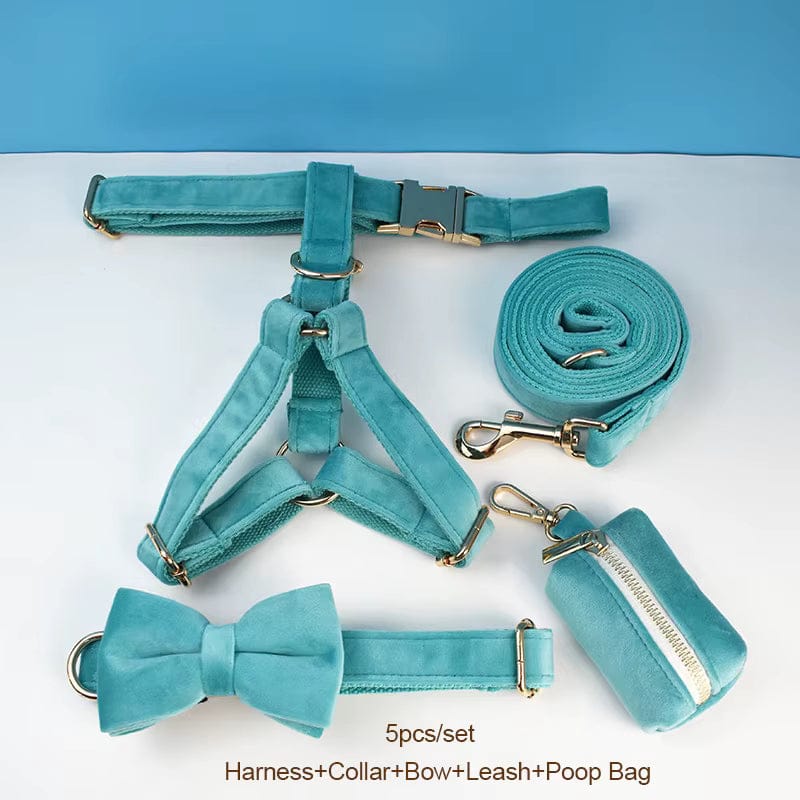 Turquoise Stone Velvet Dog Harness Set – Personalized No-Pull Harness, Leash & Collar