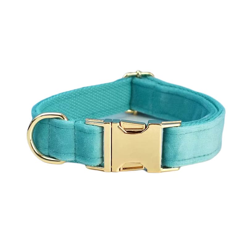 Turquoise Stone Velvet Dog Harness Set – Personalized No-Pull Harness, Leash & Collar