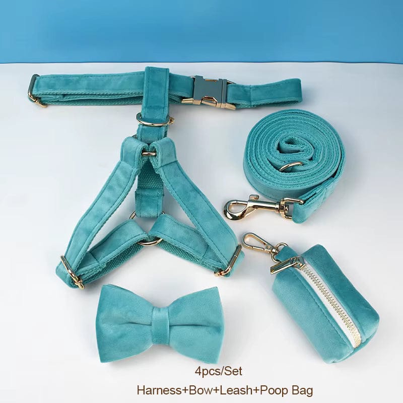 Turquoise Stone Velvet Dog Harness Set – Personalized No-Pull Harness, Leash & Collar