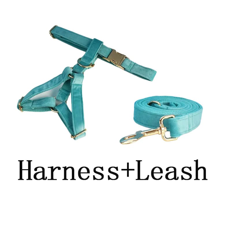 Turquoise Stone Velvet Dog Harness Set – Personalized No-Pull Harness, Leash & Collar