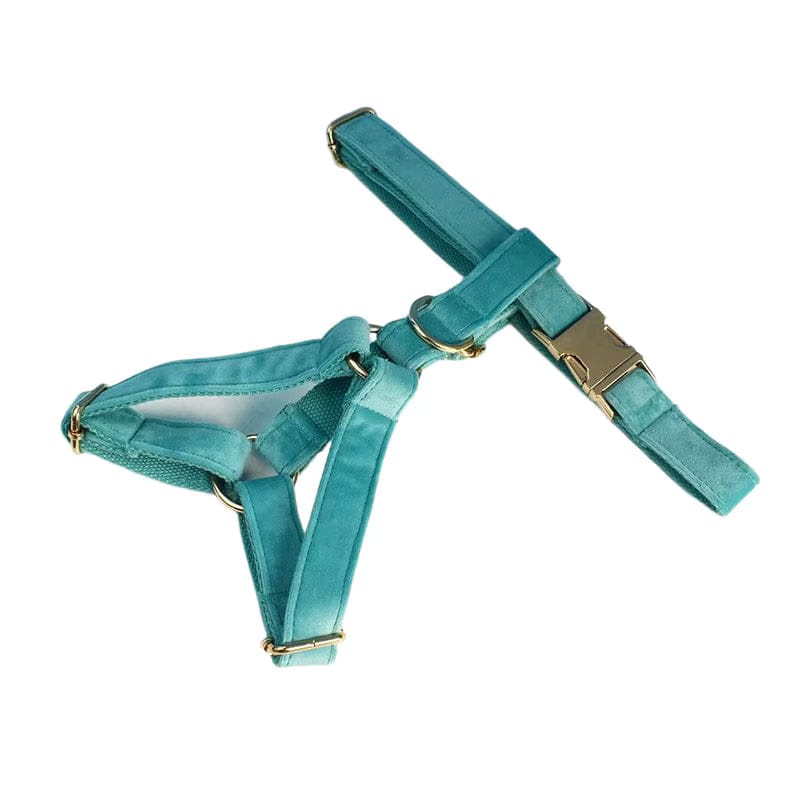 Turquoise Stone Velvet Dog Harness Set – Personalized No-Pull Harness, Leash & Collar