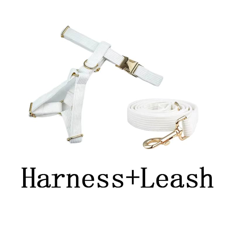 White Corduroy Dog Harness Set – Personalized No-Pull Harness, Leash & Collar