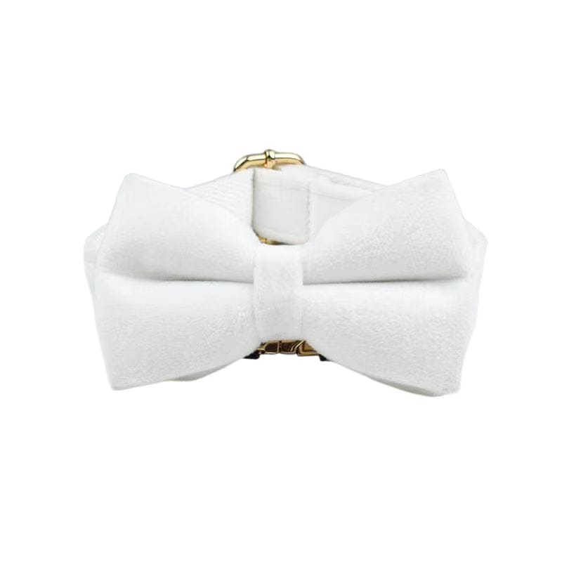 White Wedding Velvet Dog Harness Set – Personalized No-Pull Harness, Leash & Collar