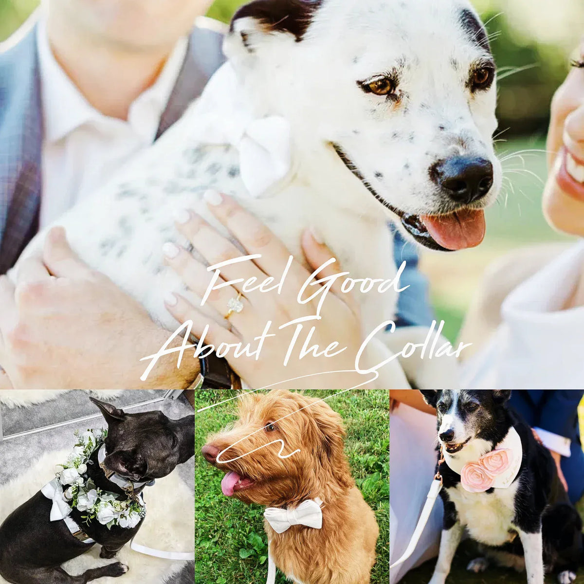 White Wedding Velvet Dog Harness Set – Personalized No-Pull Harness, Leash & Collar